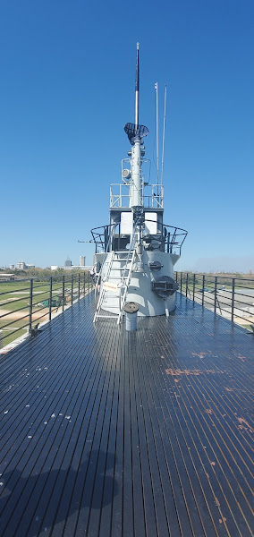 This image has an empty alt attribute; its file name is 20230304_114308.jpg